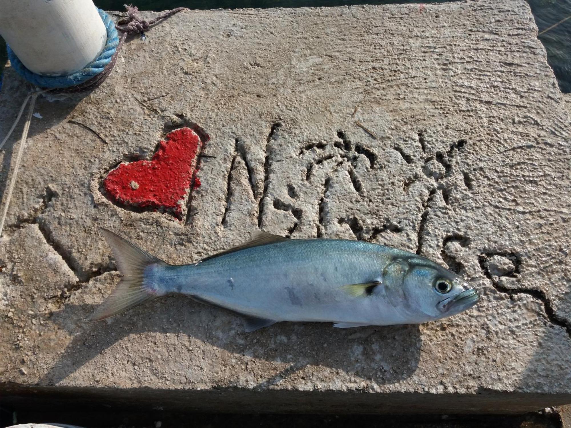 Apartment "I Love Njivice" Herceg Novi Luaran gambar
